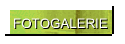 FOTOGALERIE